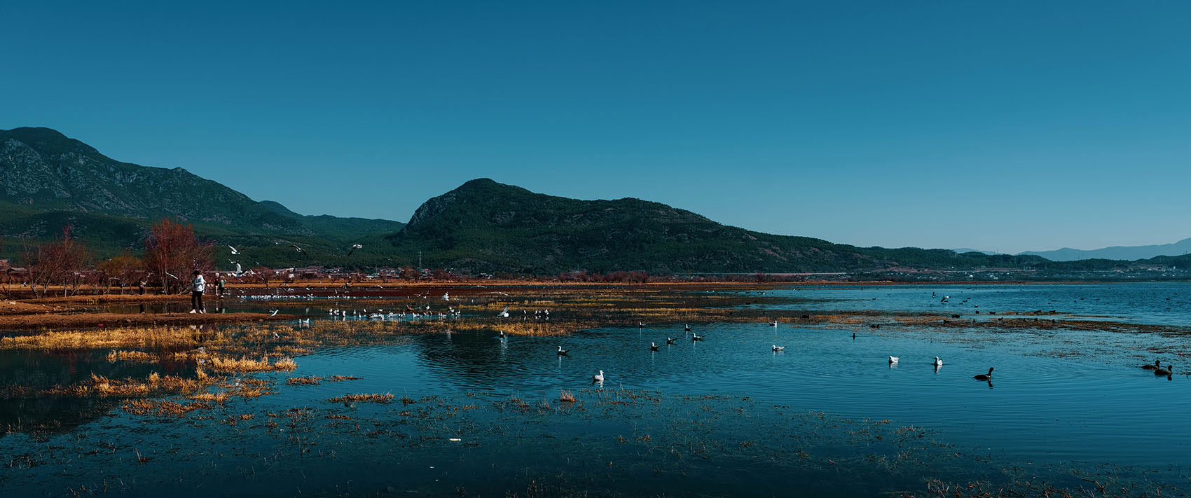云南麗江·茶馬道拉市海麗世山居酒店設(shè)計 云南麗江·茶馬道拉市海麗世山居酒店設(shè)計