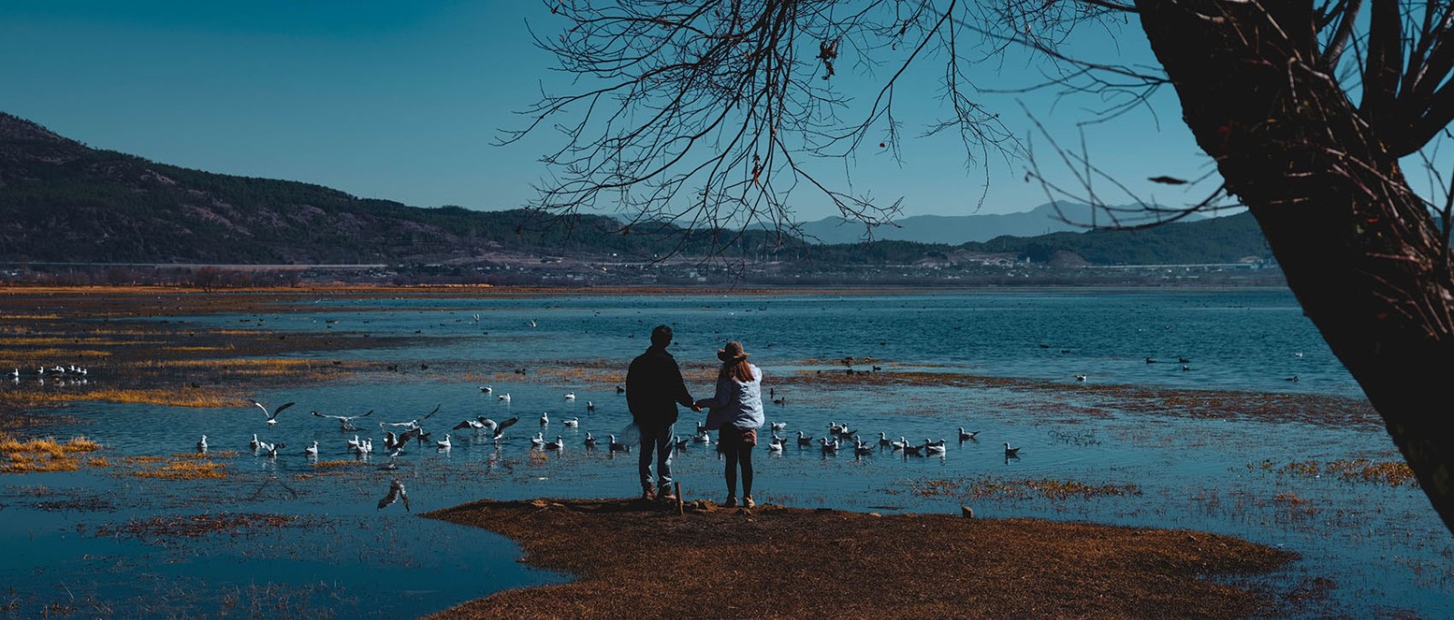 云南麗江·茶馬道拉市海麗世山居酒店設(shè)計 云南麗江·茶馬道拉市海麗世山居酒店設(shè)計