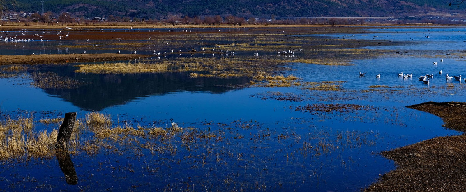云南麗江·茶馬道拉市海麗世山居酒店設(shè)計 云南麗江·茶馬道拉市海麗世山居酒店設(shè)計