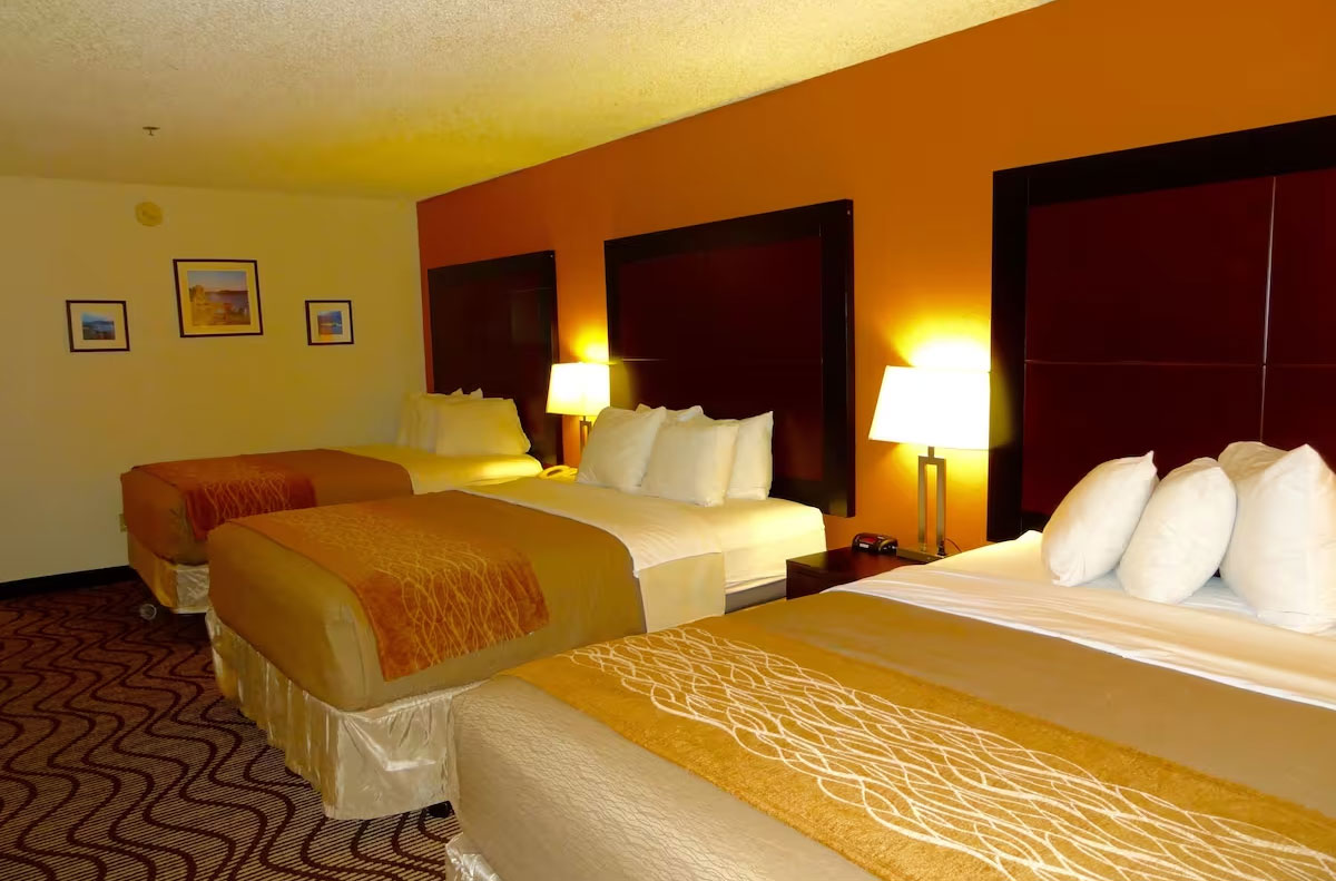 酒店客房設(shè)計細(xì)節(jié)的全面知識點(diǎn)解讀 酒店客房設(shè)計細(xì)節(jié)的全面知識點(diǎn)解讀